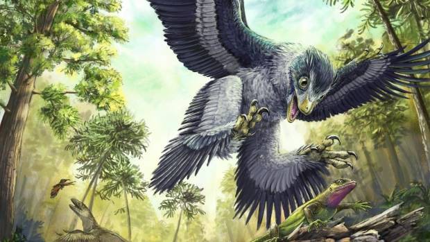 Cùng phải chịu thảm họa thiên thạch nhưng vì sao khủng long tuyệt chủng, chim thì không? - Ảnh 3.