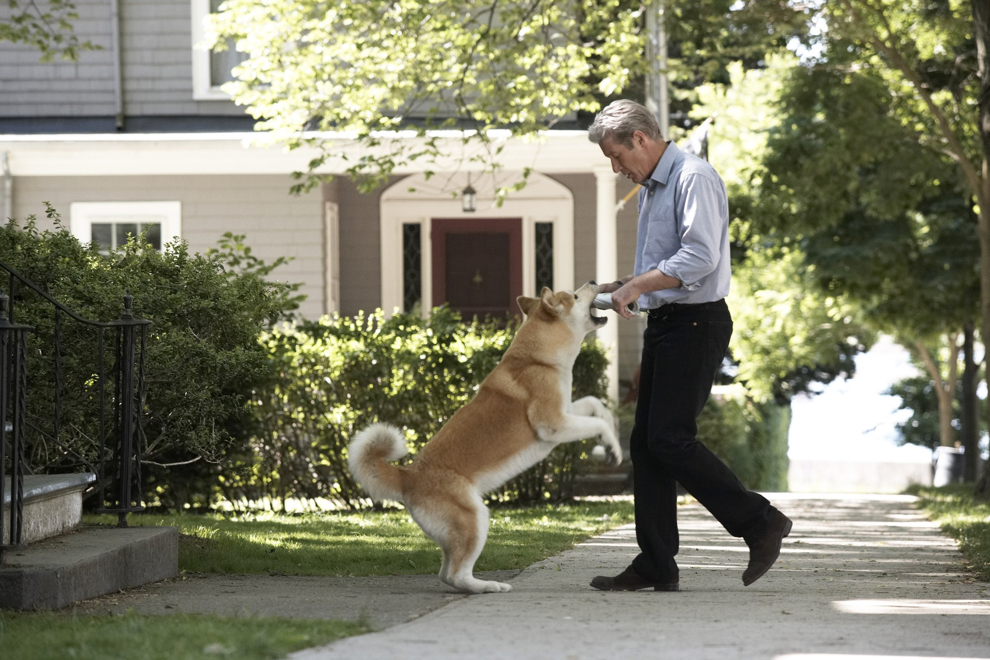 Hachi: A Dog's Tale”: Một chú chó có thể dạy bạn những gì, về tình yêu?