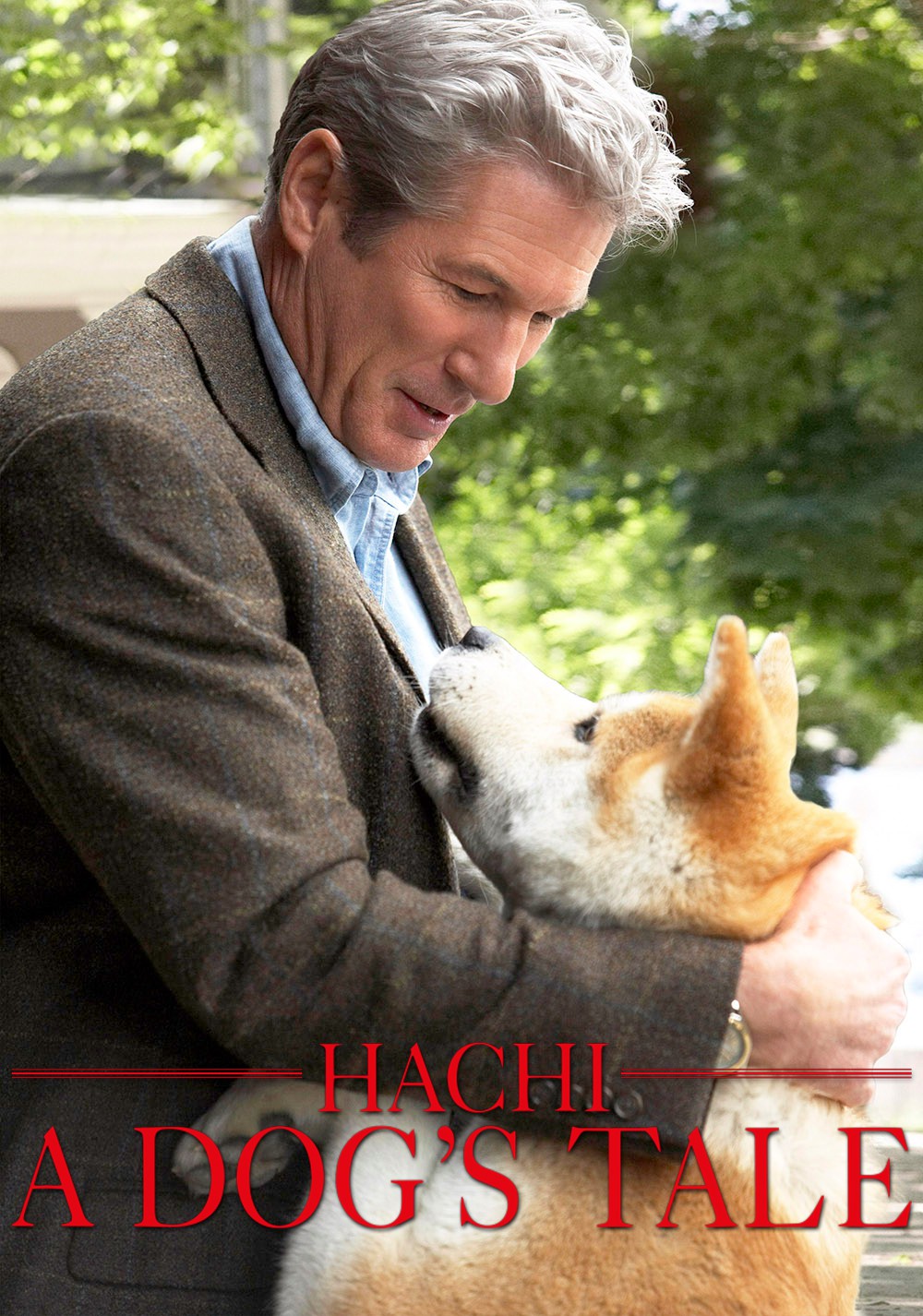 Hachi: A Dog's Tale”: Một chú chó có thể dạy bạn những gì, về tình yêu?