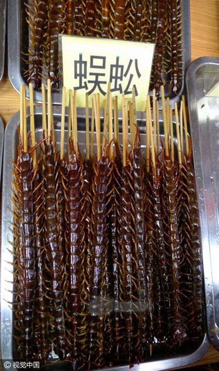 Rết r&aacute;n Thanh Đảo, mọt cọ Ch&acirc;u Phi hay nhện chi&ecirc;n Campuchia - những m&oacute;n ăn nh&igrave;n th&igrave; ph&aacute;t sợ nhưng vẫn th&agrave;nh đặc sản của nhiều địa phương - Ảnh 7.