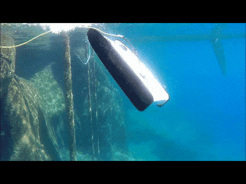 Drone đang livestream thì bị cá mập khổng lồ ngoạm, thám hiểm luôn cận cảnh trong mồm cá - Ảnh 4.