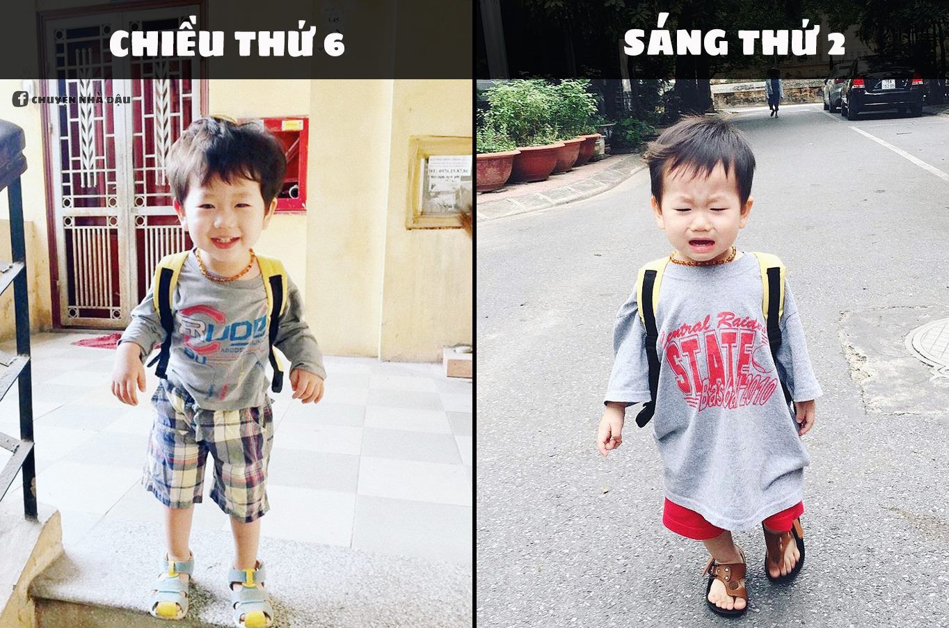 Bức ảnh chế meme nổi tiếng nhất của Đậu.