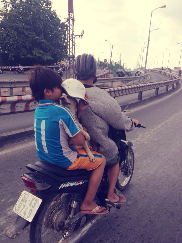 Hình ảnh em bé và chú chó trong ngày mưa khiến dân mạng thả ngàn tim vì cảm động - Ảnh 1.