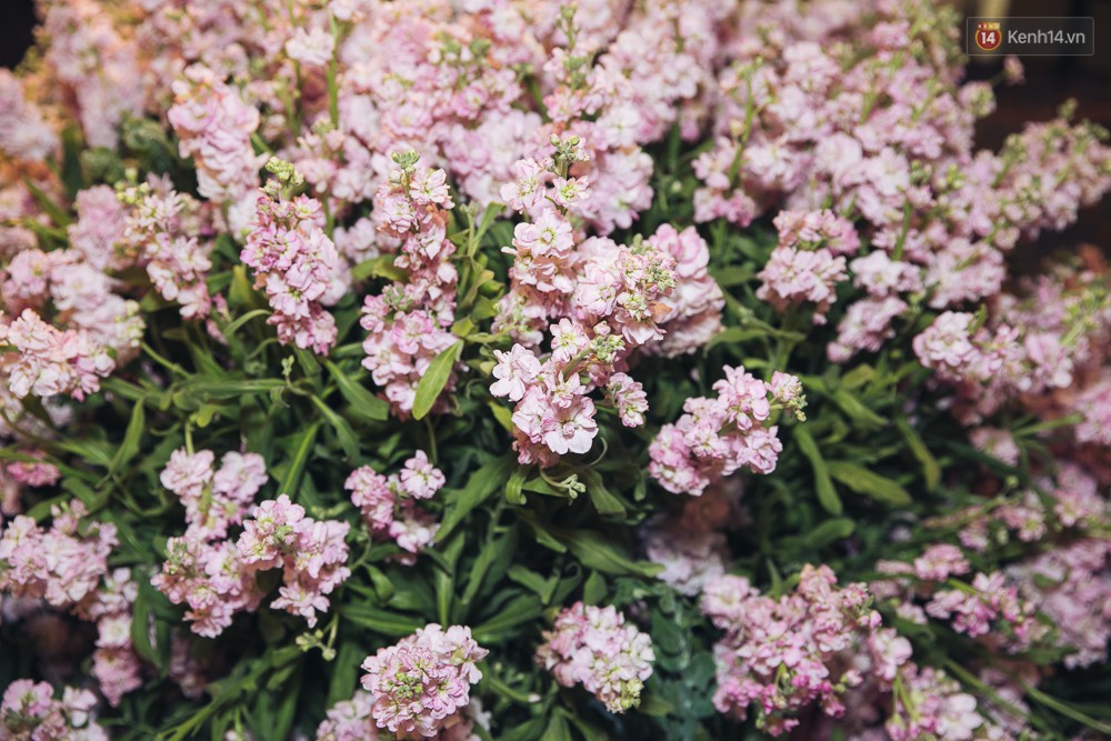 Khung cảnh sang trọng, ngập tràn sắc hoa bên trong tiệc cưới ngôn tình của Diệp Lâm Anh - Ảnh 13.