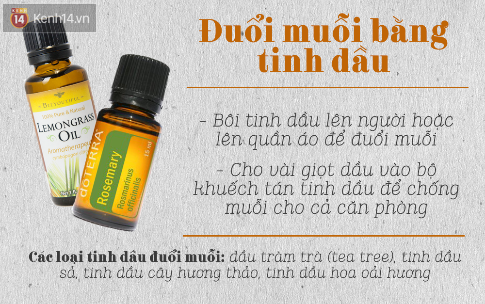 Những việc nhất định phải làm để hạn chế tình trạng muỗi tấn công trong mùa này - Ảnh 5.