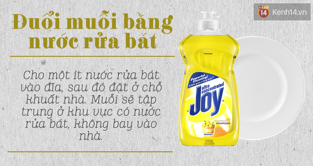 Những việc nhất định  phải làm để hạn chế tình trạng muỗi tấn công trong mùa này - Ảnh 6.