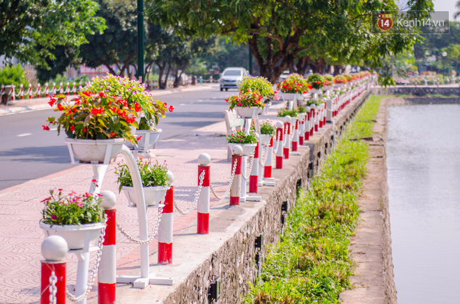 Phố Trịnh Công Sơn gấp rút hoàn thiện trước ngày trở thành không gian đi bộ thứ 2 ở Hà Nội - Ảnh 4.