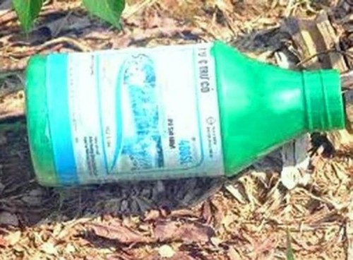 Hai chị em uống thuốc diệt cỏ v&igrave; bị nghi trộm điện thoại - Ảnh 1.