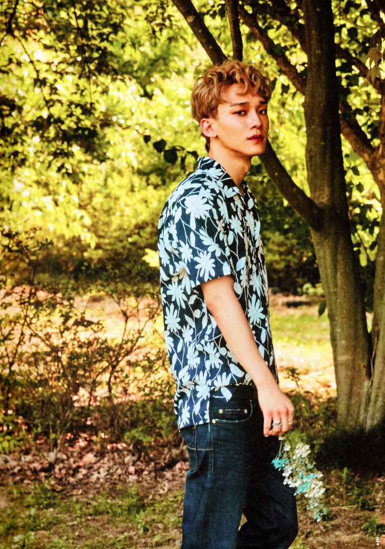 EXO thay đổi thế nào sau 5 năm tham gia show thực tế đầu tiên? - Ảnh 24.