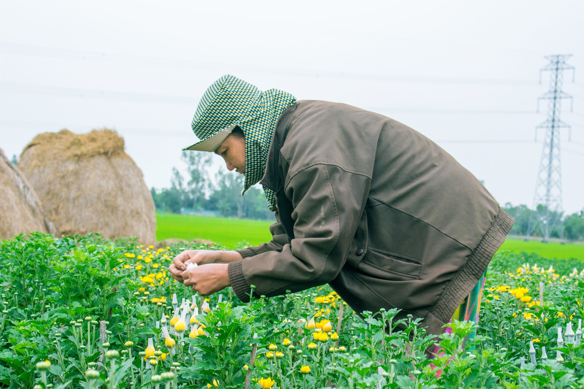 Nữ sinh mặc áo dài, lội ruộng chụp ảnh với cha trong ngày bế giảng: Mình chẳng ngại gì khi cha mẹ là nông dân - Ảnh 4.