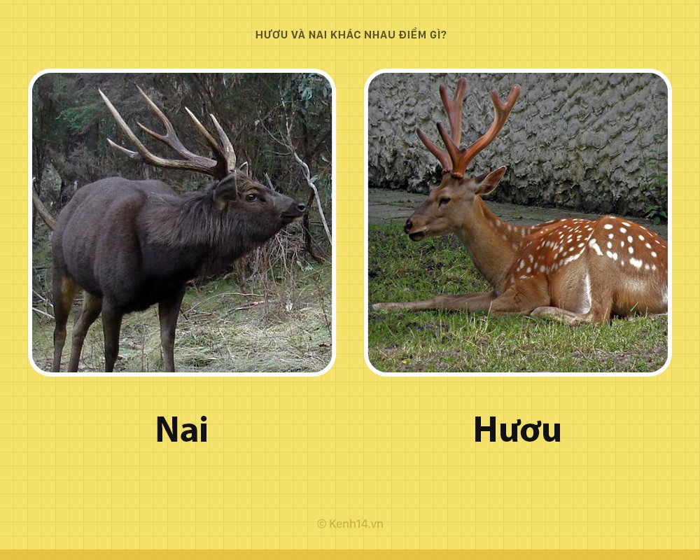 Untitled 15 15278363467701324648674