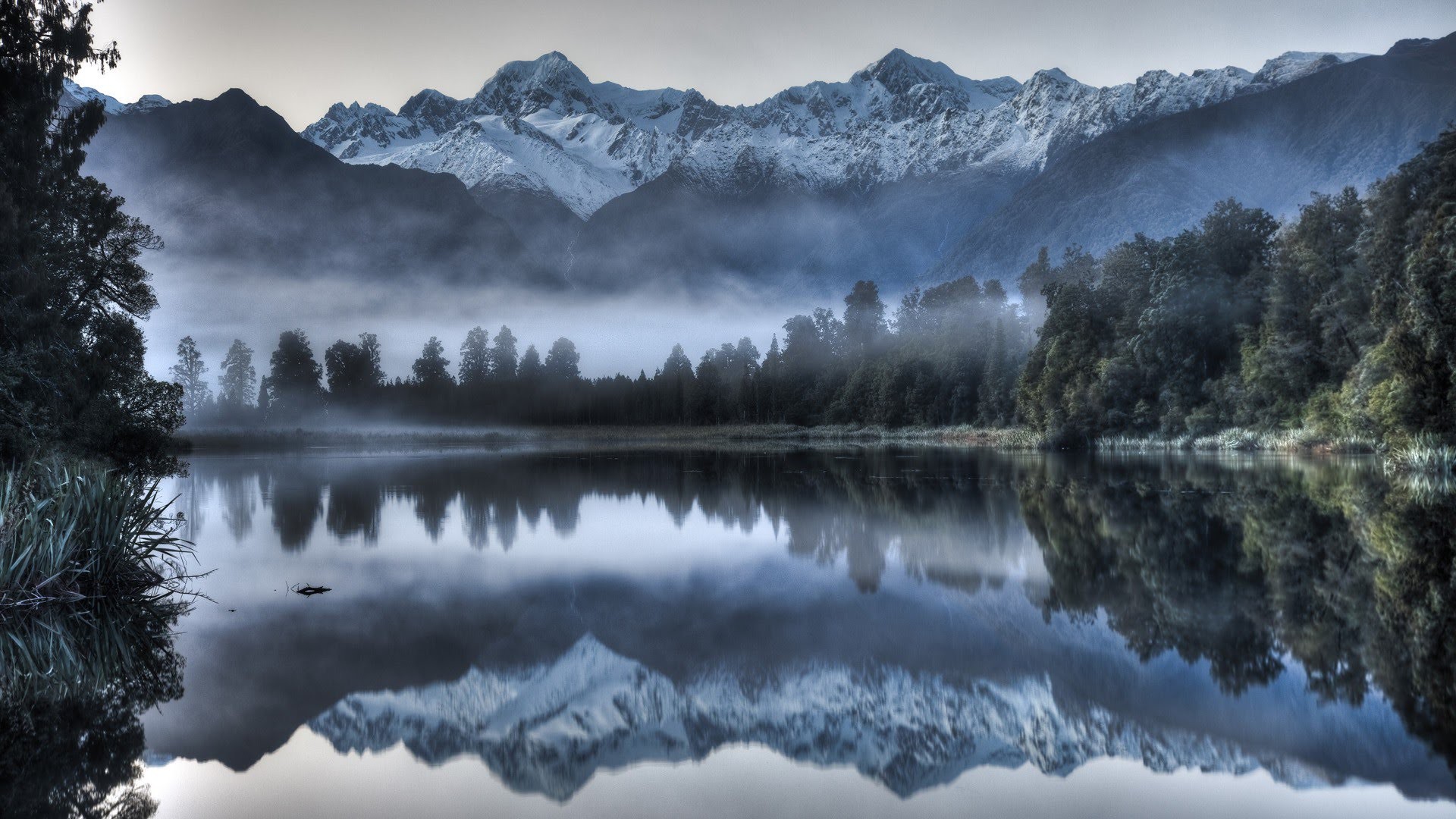 Một loài thủy quái đáng sợ đã ám ảnh người New Zealand và kết quả nghiên cứu khiến người dân không thể tin nổi - Ảnh 3.