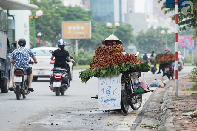 Giá vải thiều rẻ chỉ từ 10 nghìn/kg nhưng người mua vẫn không mặn mà - Ảnh 1.