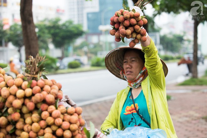 Giá vải thiều rẻ chỉ từ 10 nghìn/kg nhưng người mua vẫn không mặn mà - Ảnh 6.