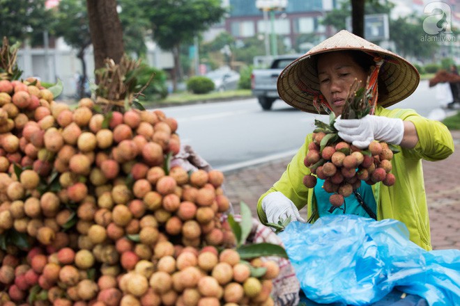 Giá vải thiều rẻ chỉ từ 10 nghìn/kg nhưng người mua vẫn không mặn mà - Ảnh 7.