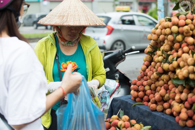 Giá vải thiều rẻ chỉ từ 10 nghìn/kg nhưng người mua vẫn không mặn mà - Ảnh 8.