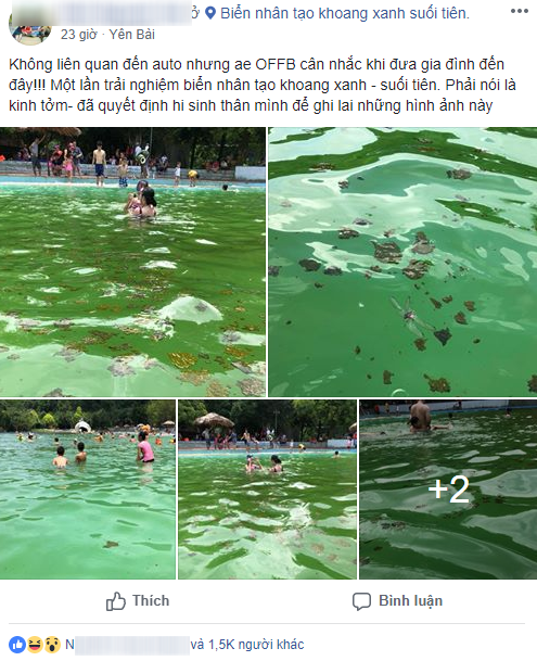 Giám đốc khu du lịch Khoang Xanh - Suối Tiên lên tiếng về hình ảnh rong rêu, xác côn trùng nổi đầy trong bể bơi - Ảnh 1.
