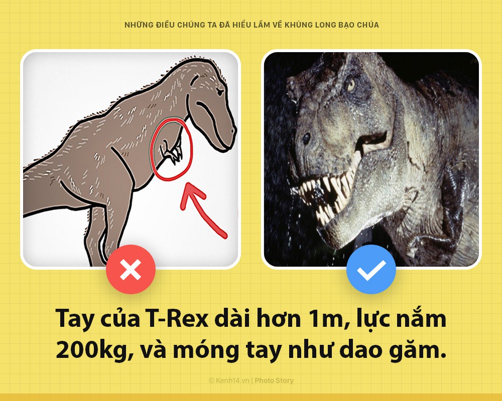 Hey! Là T-Rex bạo chúa của Jurassic World đây và các ông đã nhầm về tôi hết rồi - Ảnh 2. Hey! Là T-Rex bạo chúa của Jurassic World đây và các ông đã nhầm về tôi hết rồi - Ảnh 2.