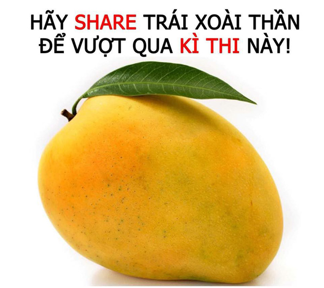 Share quả xoài và thìa để thi tốt, trào lưu tưởng nhảm nhí lại thu hút hàng trăm nghìn sĩ tử trước mỗi mùa thi - Ảnh 3.