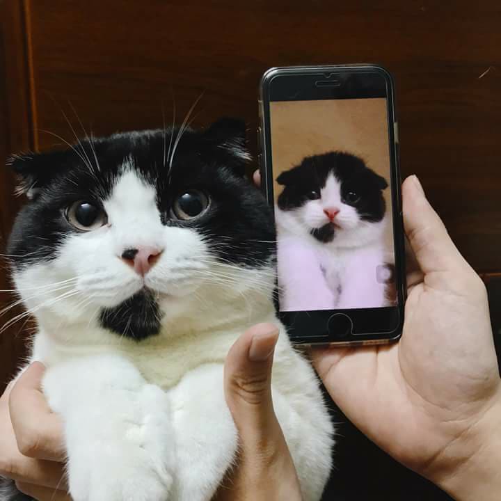3523525218858244514810543222458935067803648n-1528887918007192248743.jpg