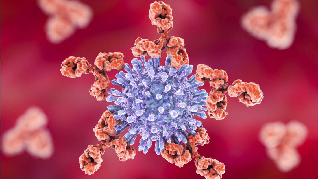 Chỉ còn 1 năm nữa, vaccine chống HIV sẽ chính thức được thử nghiệm trên người - Ảnh 1. Chỉ còn 1 năm nữa, vaccine chống HIV sẽ chính thức được thử nghiệm trên người - Ảnh 1.
