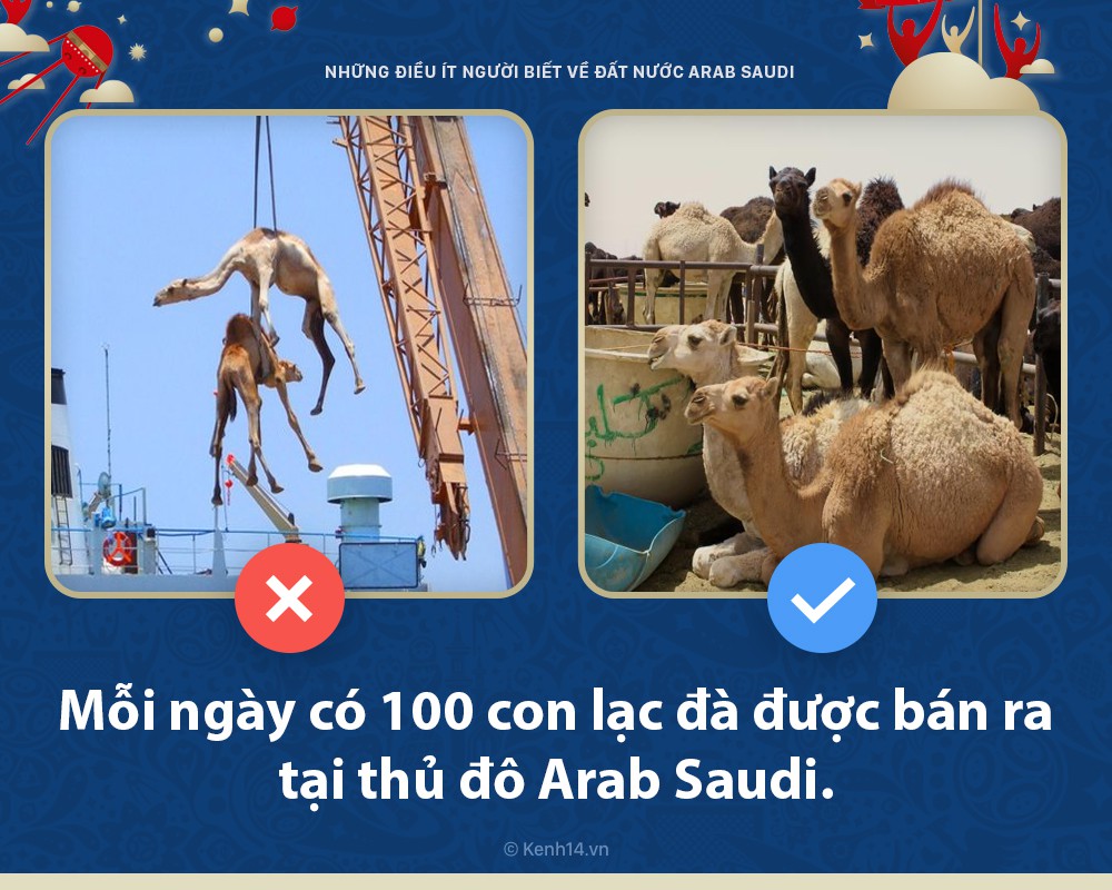 5 điều bất ngờ ít người biết về Arab Saudi - đất nước sẽ đối đầu với nước Nga chủ nhà World Cup hôm nay - Ảnh 3.