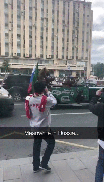 Người Nga dắt GẤU ra đường thổi kèn tò tí te ăn mừng đội nhà thắng trận khai mạc World Cup - Ảnh 2.