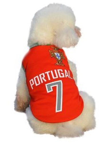 Sốt xình xịch trào lưu mặc trang phục World Cup cho cún cưng - Ảnh 9.