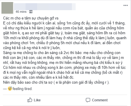 Lên mạng nhờ 500 chị em chỉ cách dạy bảo vì chị dâu chẳng làm được việc gì ngoài nấu cơm rửa bát, bà cô bên chồng bị chỉ trích vì quá soi mói - Ảnh 1.