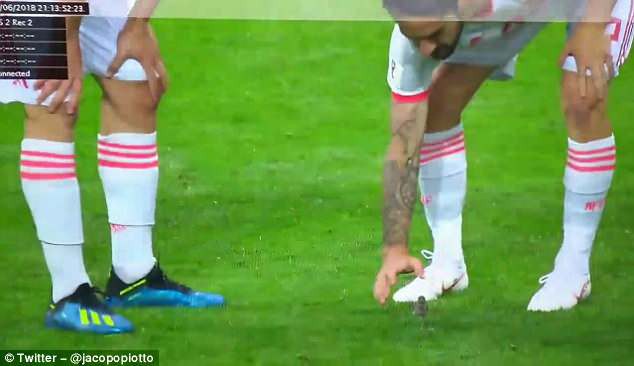 Trai đẹp Isco giải cứu ch&uacute; chim nhỏ giữa trận đấu của T&acirc;y Ban Nha ở World Cup - Ảnh 1.