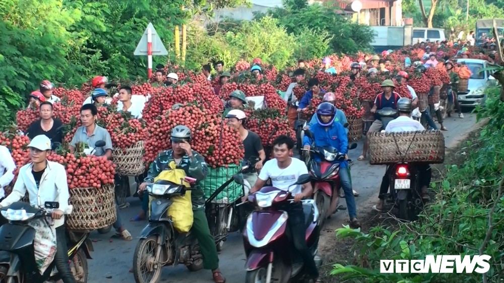 Ảnh: Chợ vùng cao Bắc Giang tắc đường hàng cây số do dân chở vải ra bán - Ảnh 1.