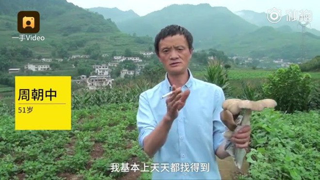 Trung Quốc: Phát hiện người đàn ông giống hệt CEO Jack Ma rao bán nấm rừng ở ven đường - Ảnh 3.