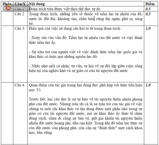 Gợi ý giải đề thi THPT Quốc gia môn Ngữ Văn - Ảnh 1.