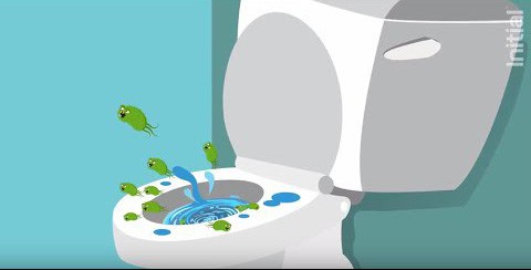 Không dám đặt mông lên bồn cầu trong toilet công cộng, bạn đã phạm phải một sai lầm rất lớn - Ảnh 6.