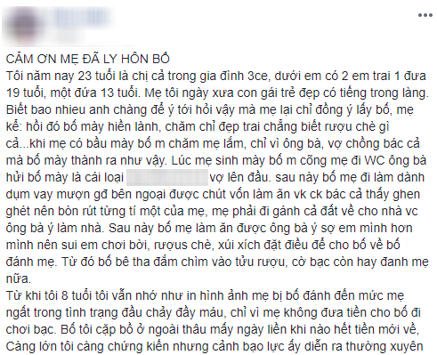 Cảm ơn mẹ đã ly hôn bố - bức tâm thư đầy xúc động của cô gái trẻ có mẹ từng bị bạo hành, tảo tần nuôi 3 đứa con ăn học - Ảnh 1.