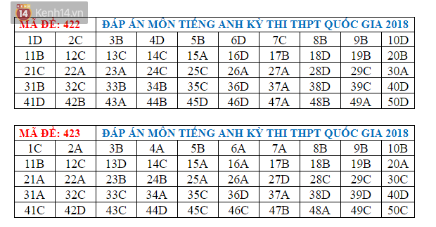 Đáp án đề thi THPT môn Tiếng Anh (Tất cả mã đề) - Ảnh 4.