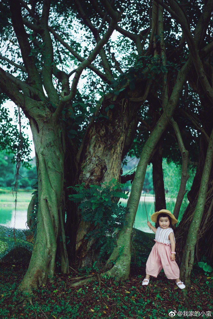 Lớn rồi nhưng Tiểu Man - cô bé ăn cả thế giới vẫn khiến dân mạng nghiêng ngả vì biểu cảm đáng yêu - Ảnh 4.