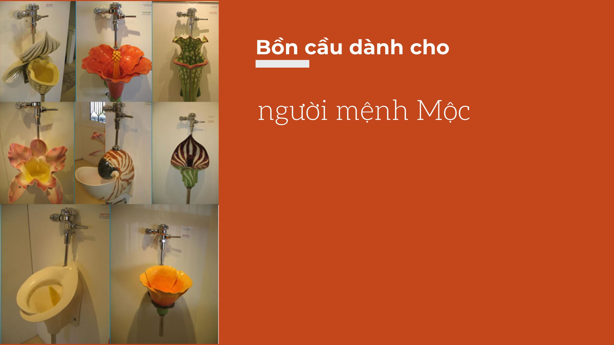 Bạn đang băn khoăn không biết nên lắp đặt bồn cầu thế nào? Hãy vào đây để tìm ra loại bồn cầu phù hợp tính cách của mình nhất - Ảnh 13.