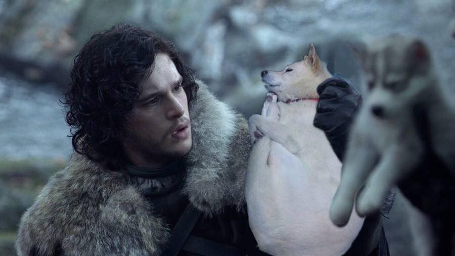 Con boss chỉ ngủ gọn gàng hơn bình thường tí thôi mà thức dậy đã có cả đống ảnh chế trên mạng - Ảnh 4.