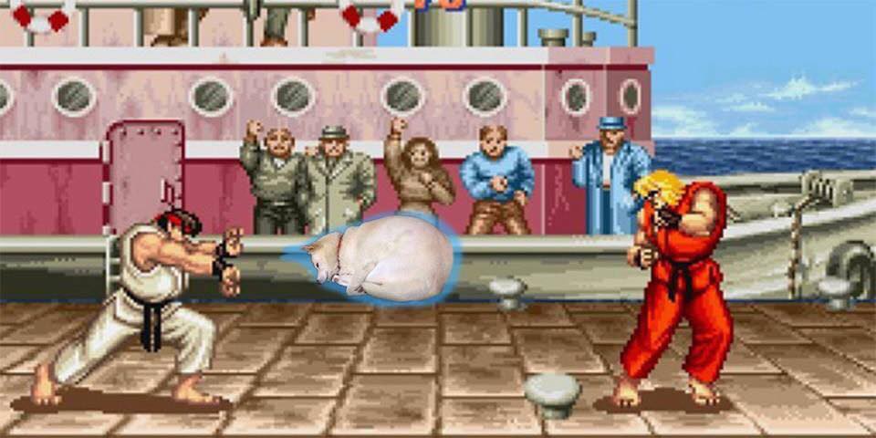 Con boss chỉ ngủ gọn gàng hơn bình thường tí thôi mà thức dậy đã có cả đống ảnh chế trên mạng - Ảnh 7.