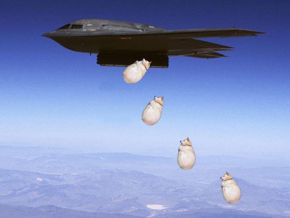 Con boss chỉ ngủ gọn gàng hơn bình thường tí thôi mà thức dậy đã có cả đống ảnh chế trên mạng - Ảnh 11.