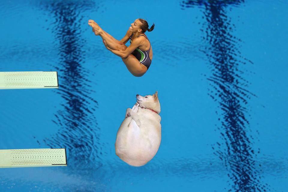 Con boss chỉ ngủ gọn gàng hơn bình thường tí thôi mà thức dậy đã có cả đống ảnh chế trên mạng - Ảnh 12.