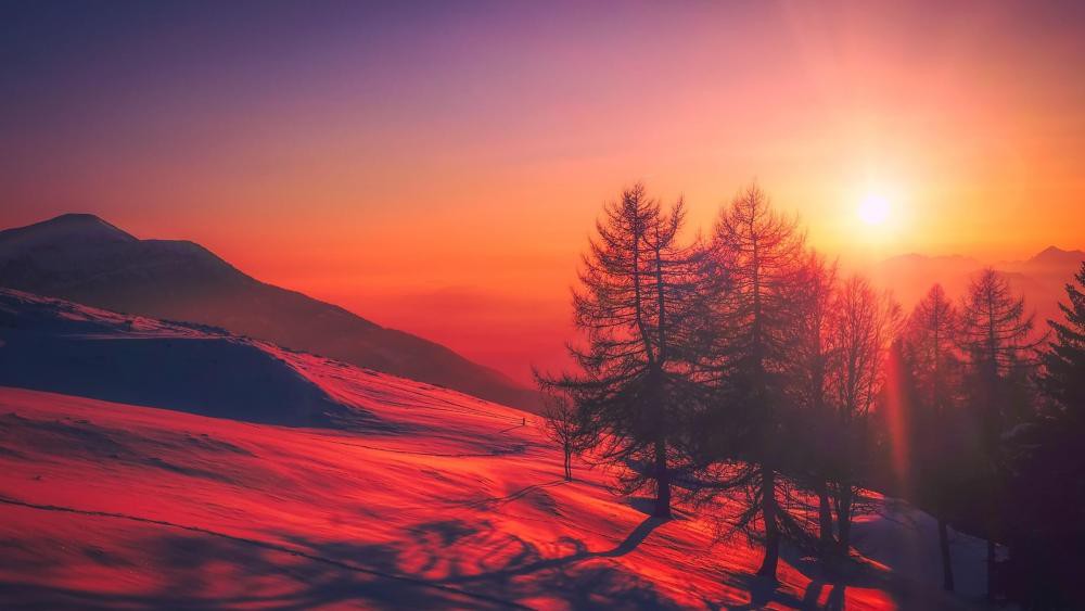 Với màu đỏ hoàng hôn đặc trưng, bức ảnh này sẽ giúp bạn thấy được sự đẹp đẽ của khoảnh khắc khi ánh nắng buông xuống, tạo nên một bầu không khí ấm áp và lãng mạn.