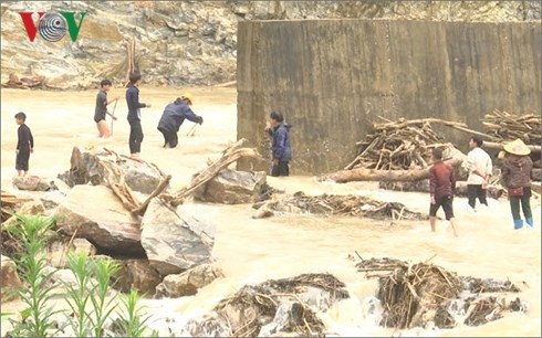 Bất chấp hiểm nguy, người dân Lai Châu vẫn đi vớt củi trong mưa lũ - Ảnh 1.