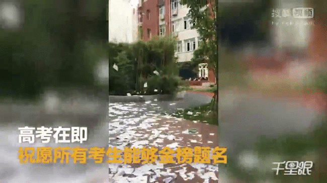 Quá áp lực trước kỳ thi đại học, học sinh Trung Quốc xé sách vở phủ trắng sân trường - Ảnh 3.