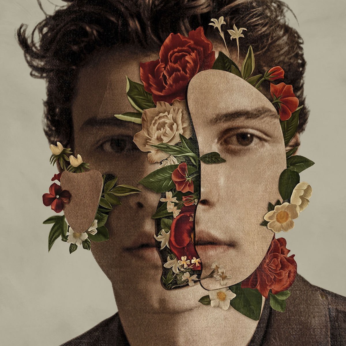 shawn-mendes-shawn-mendes-island-15280837406571233338866.jpg
