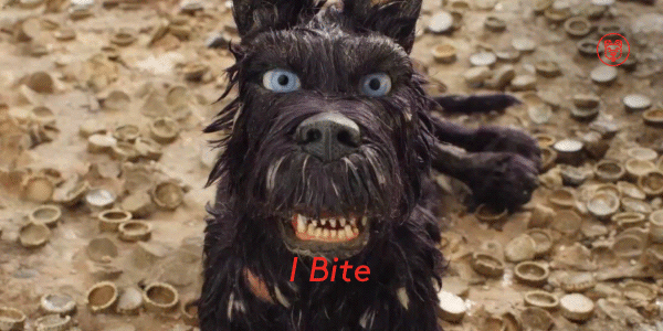 C&oacute; một thế giới động vật đầy đặc biệt dưới b&agrave;n tay g&atilde; qu&aacute;i kiệt Wes Anderson - Ảnh 8.