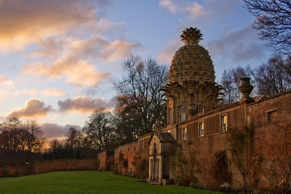 Ngỡ ngàng “huyền nương” - loại quả được cả nước Anh yêu quý như bảo quốc - Ảnh 5. Ngỡ ngàng “huyền nương” - loại quả được cả nước Anh yêu quý như bảo quốc - Ảnh 5.