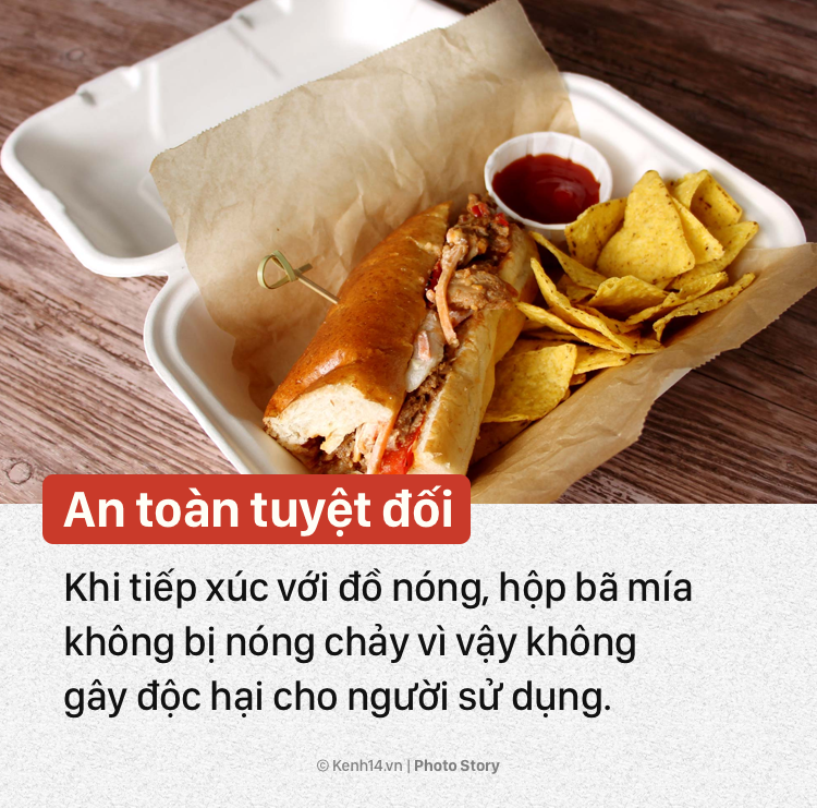 Hộp bã mía - giải pháp thân thiện với môi trường