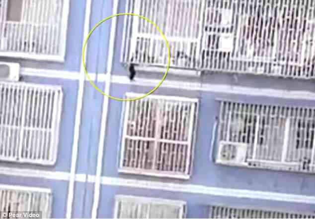 Lại xuất hiện thêm 1 spider man tại Trung Quốc, tay không leo 5 tầng nhà để cứu em bé treo lơ lửng - Ảnh 1.